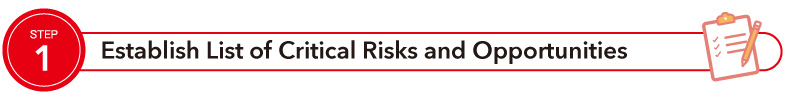 Establish List of Critical Risks and Opportunities