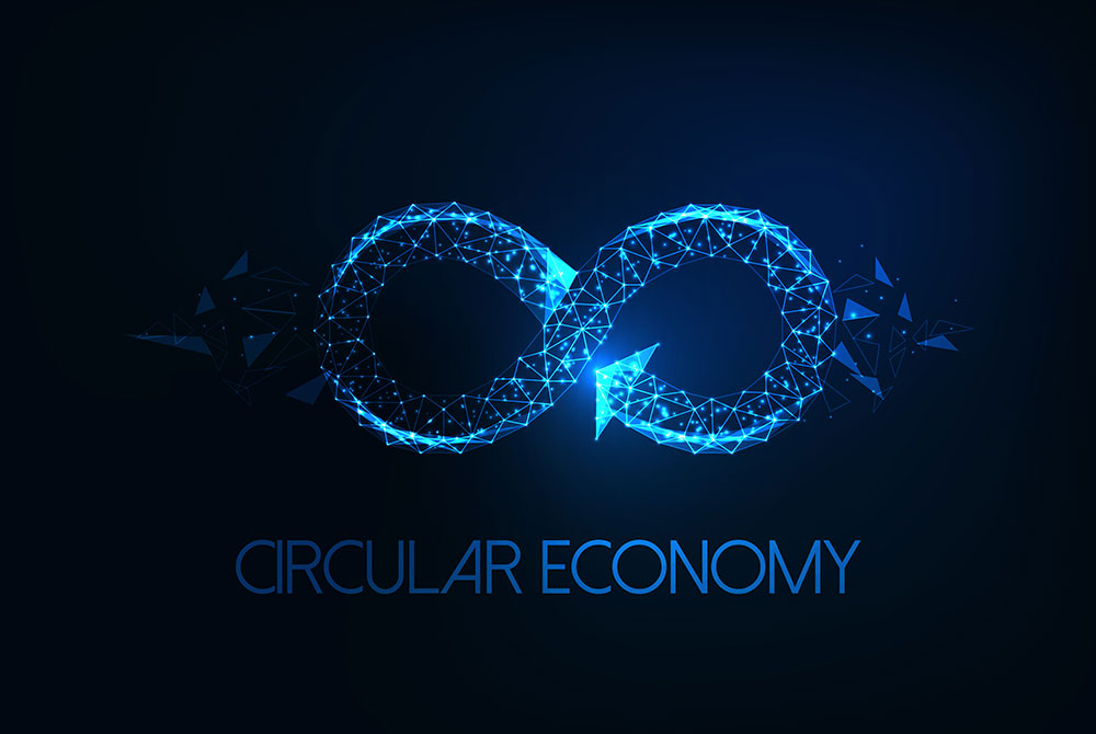 Developing Circular Economy and Sustainable Value