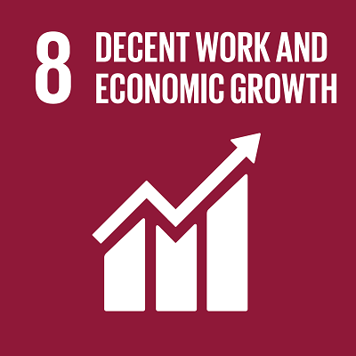 SDG 8 DECENT WORK AND ECONOMIC GROWTH