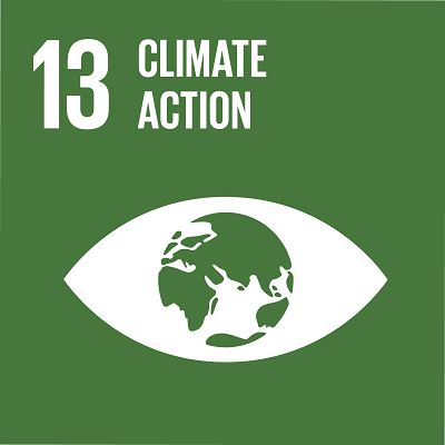 SDG 13 CLIMATE ACTION