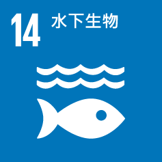 SDG 14 水下生物