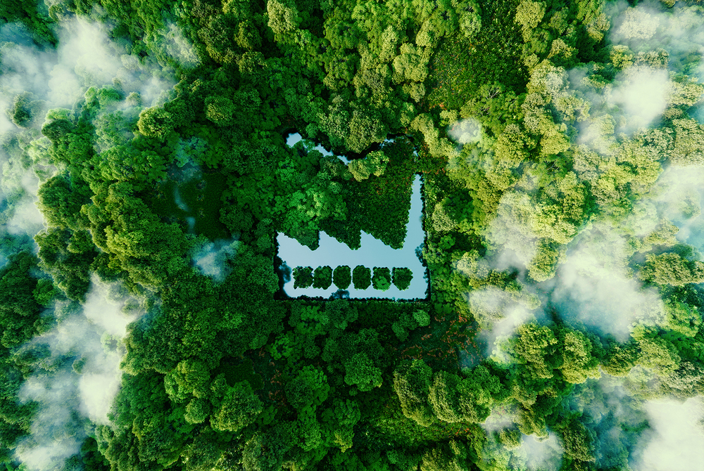 Committing to Net Zero Emissions With SBTi-verified Carbon Reduction Targets